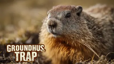 Quality at its Core: How China's Top Groundhog Traps Are Setting Global Standards