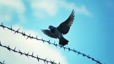 Effective Solutions for Bird Control Beyond Anti Bird Defender Spikes