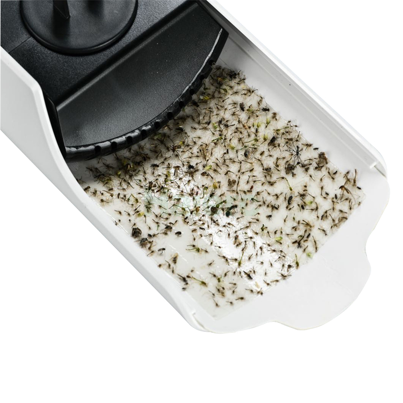 Fly lamp (3)