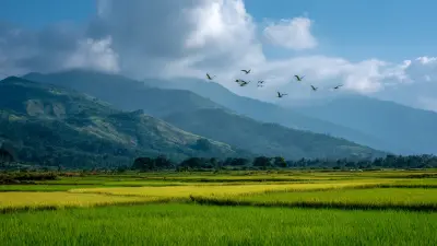 5 Compelling Reasons Why the Best Bird Net is Essential for Global Agricultural Success