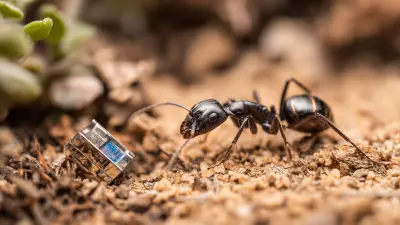 7 Data-Driven Reasons to Choose Ant Bait Stations for Effective Pest Control