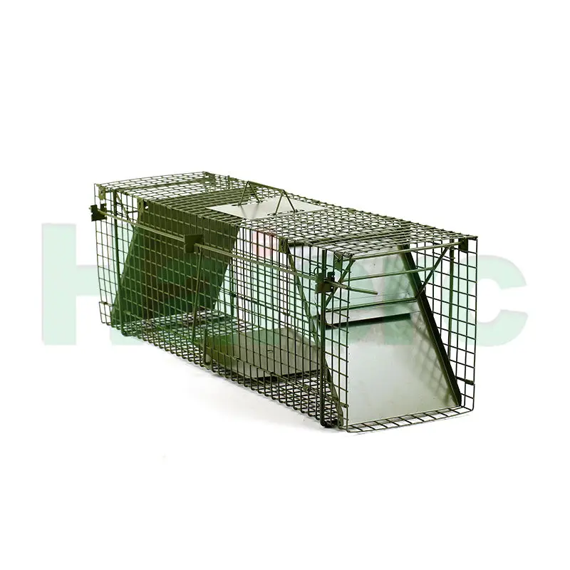 Haierc humane catch rats tr...