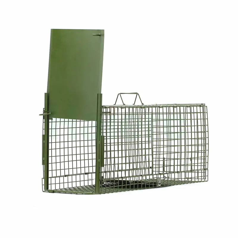 HC2611 (13)