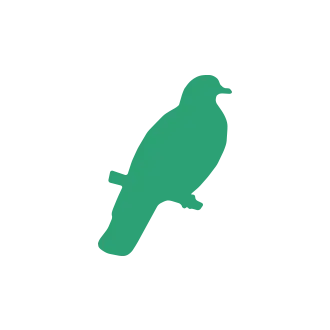 Bird & Pigeon Pest Control1