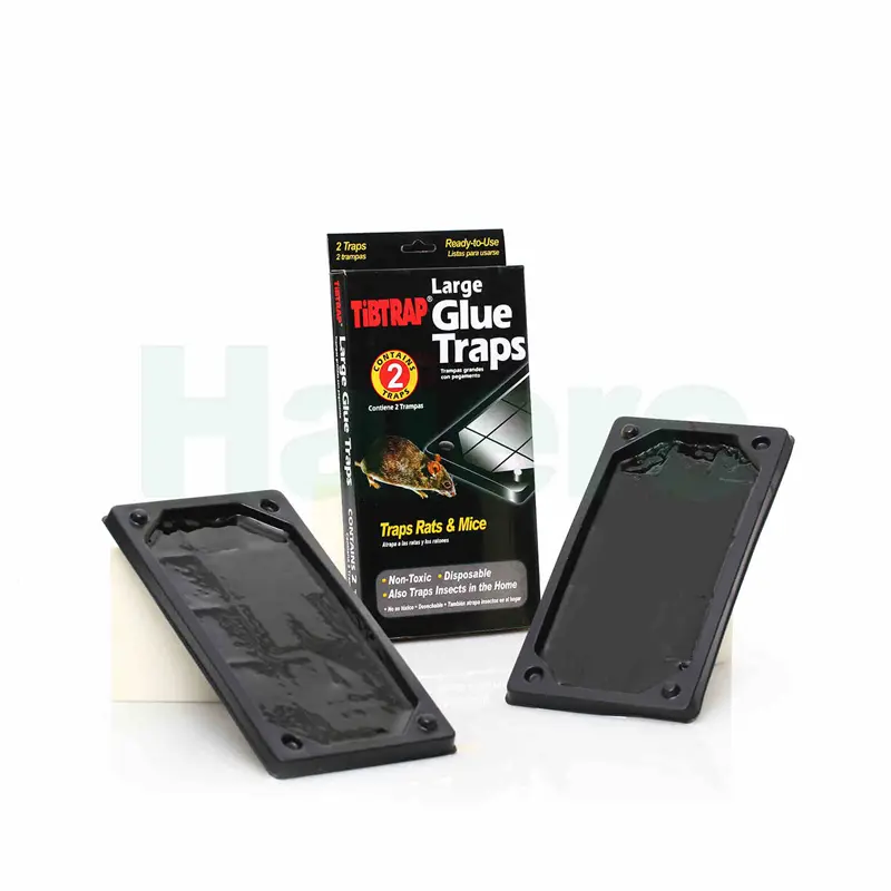 HC2307 (2).jpg