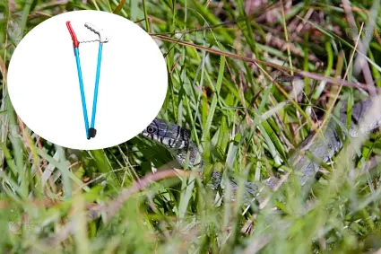 New Innovation in Snake Pest Control: Foldable Snake Catcher and Snake Repellent
