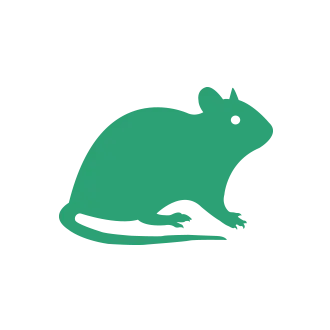 Mice & Rat Pest Control1