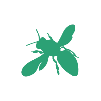 Wasp & Bee Pest Control1