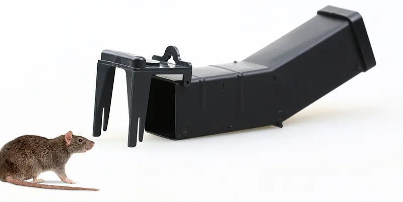 mouse trap HC2216S (16)