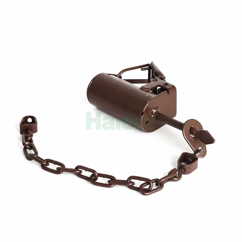 HC2703 (3)