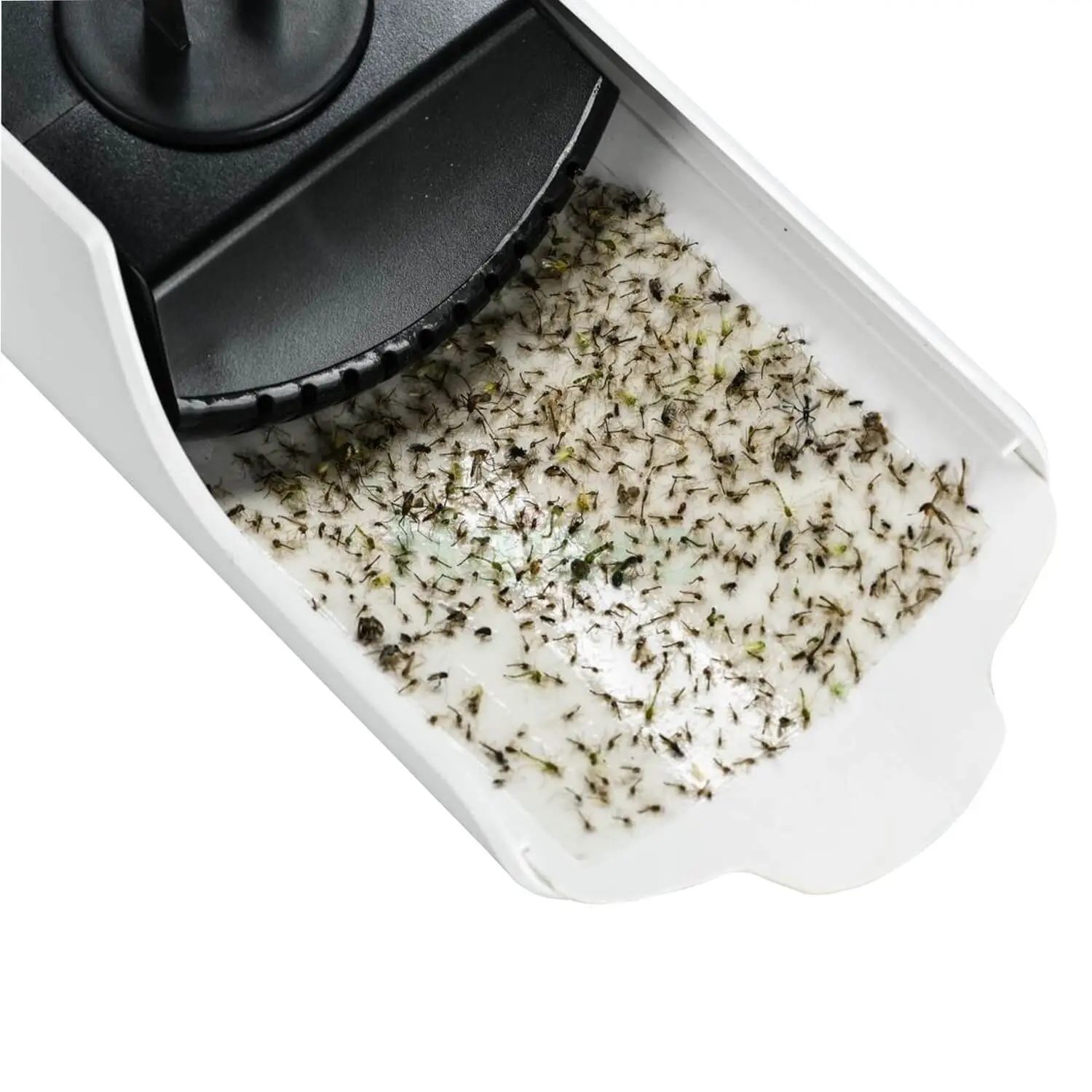 Fly lamp (3)