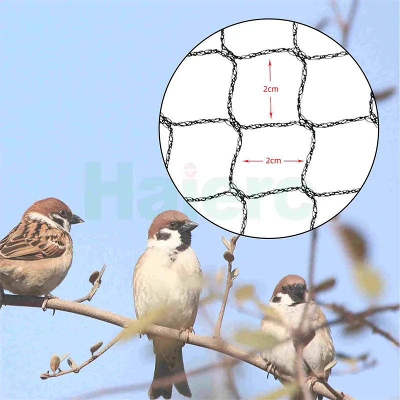 anti bird net (2).jpg