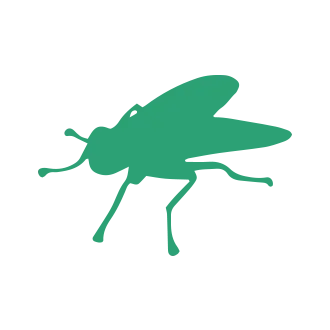 Fly Insect Pest Control1