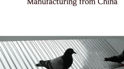 Unmatched Quality in Pigeon Spikes: Your Trusted Partner in Global Manufacturing from China