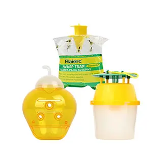 Wasp & Bee Pest Control2