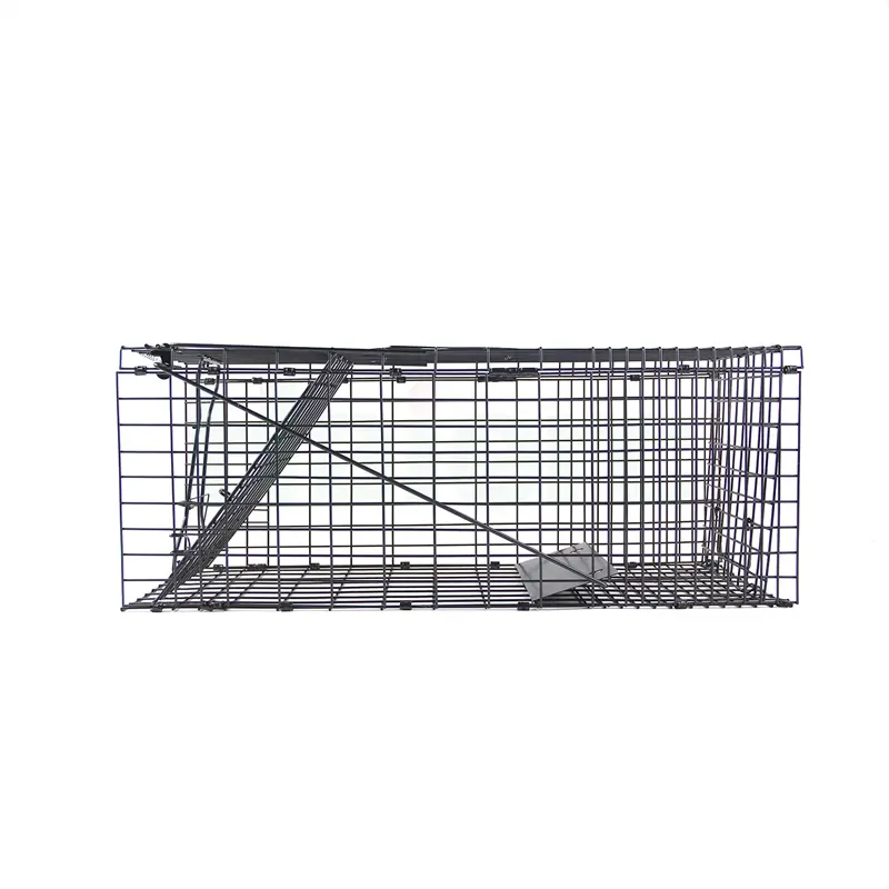 Haierc Foldable Animal Trap...