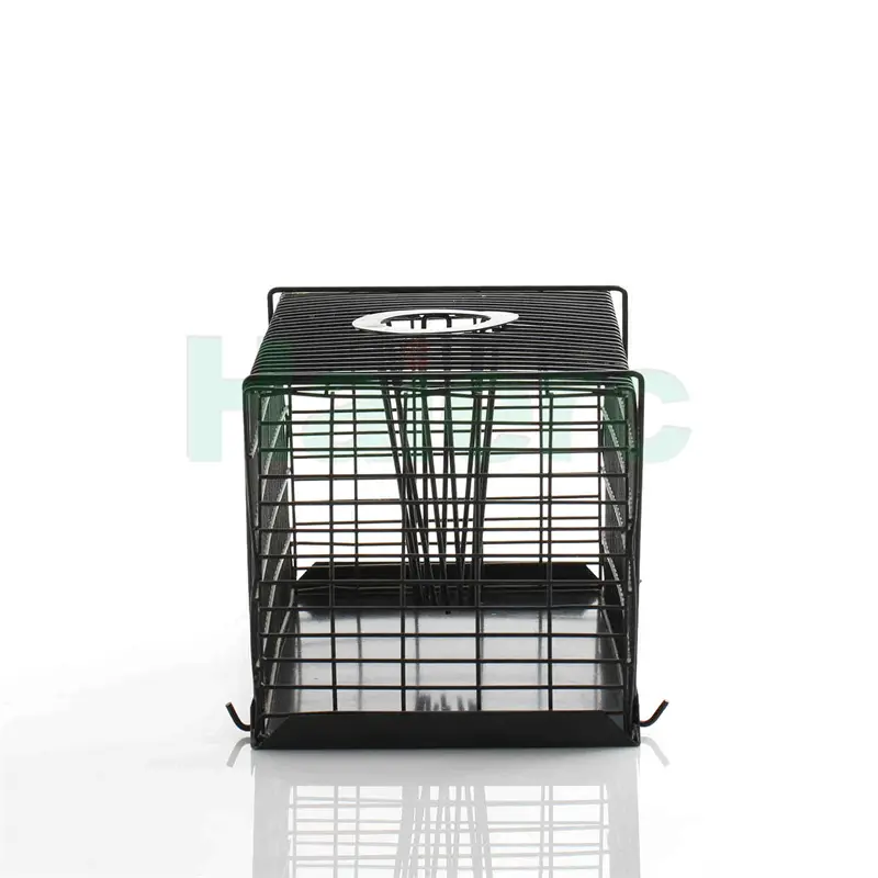 HC2602 (4)