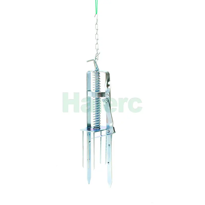 HC2420 (4).jpg