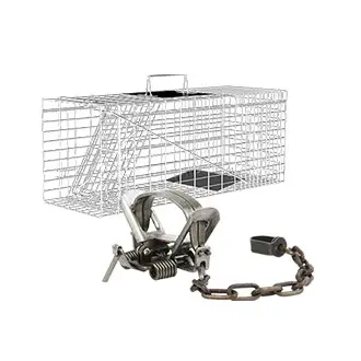 Wildlife Pest Control2