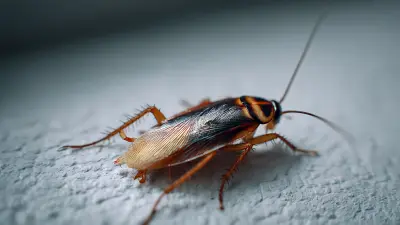 The Ultimate Guide to Cockroach Glue Traps: Secrets to Effective Pest Control