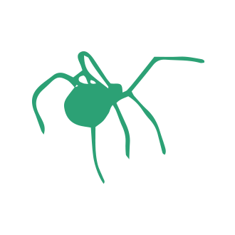 Spider Pest Control1