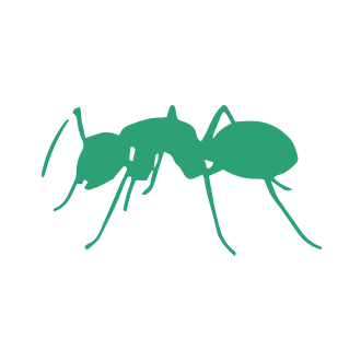 Ant & Termites Pest Control