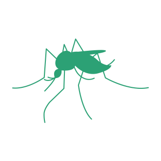 Mosquito Pest Control