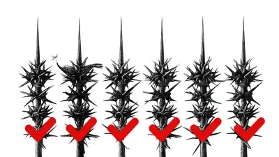 Ultimate Checklist for Choosing the Best Bird Spikes for Your Property