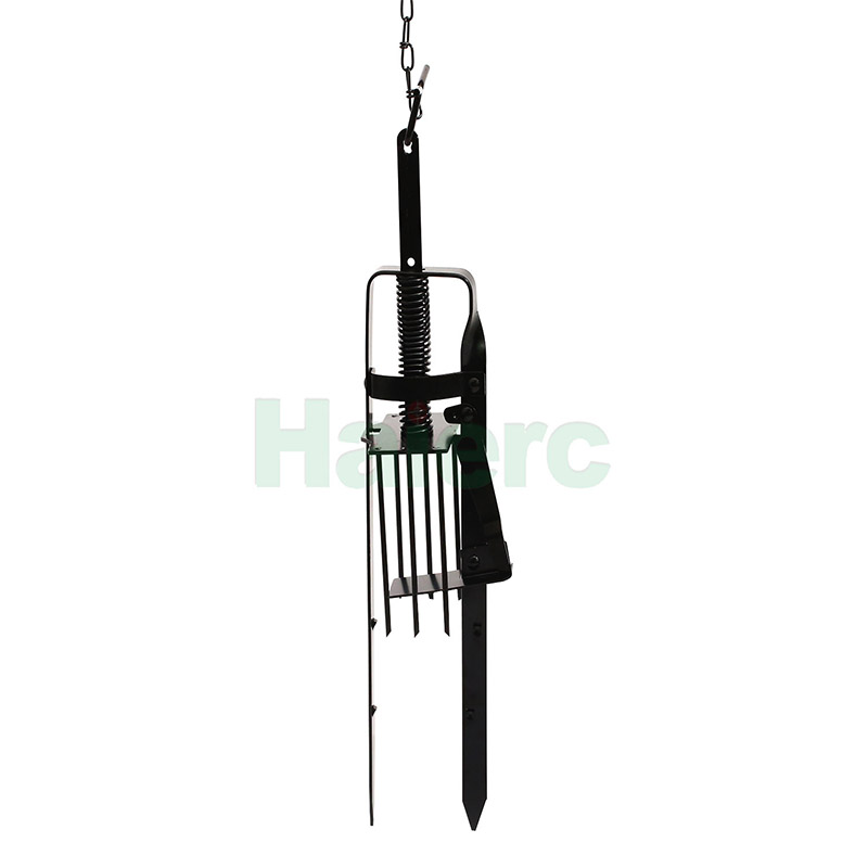 HC2420S (3)