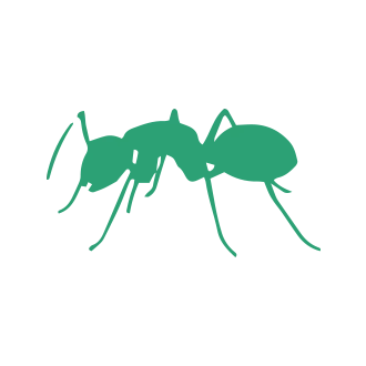 Ant & Termites Pest Control1