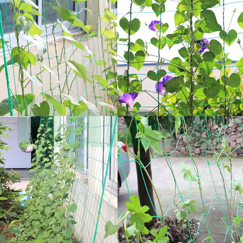 Plant Crawling Netting (6)