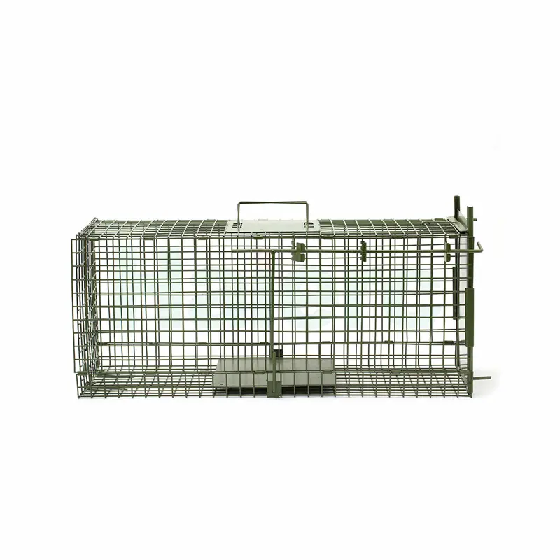 HC2611 (3)