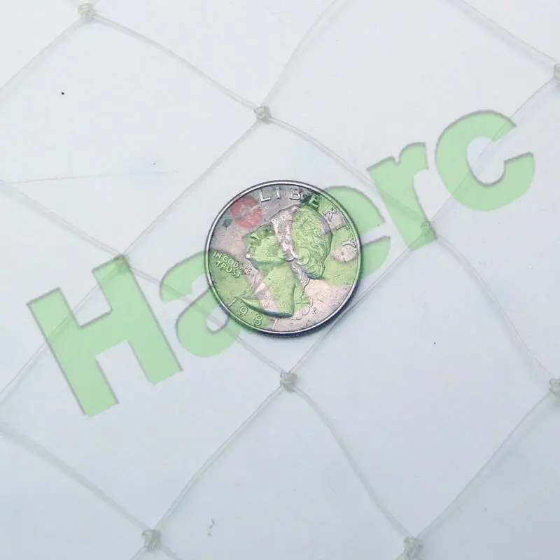 HC130903.jpg