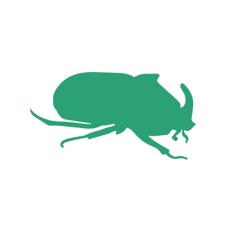 Other Insect Pest Control1