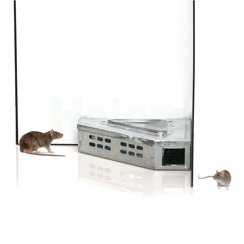 HC2504 (6)