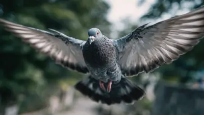 Innovative Strategies for Best Bird Scare Tape in 2025 Tech Trends and Essential Checklist for Implementation