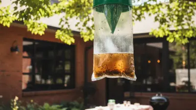 The Ultimate Guide to Choosing the Best Fly Trap Bag in 2025