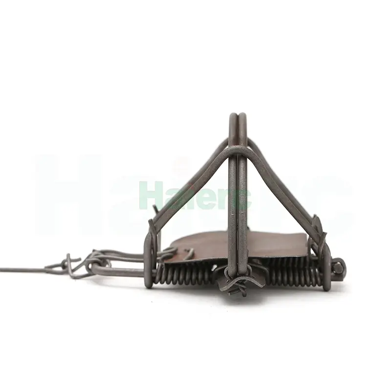 HC2701 (8)